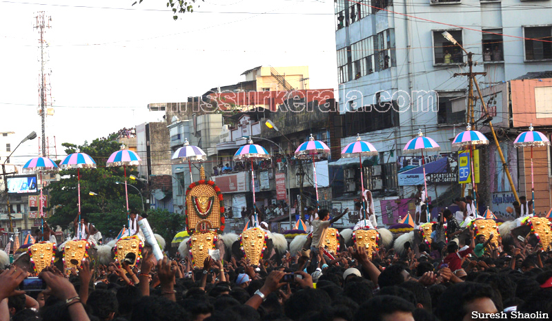thrissur-pooram-2011- (64)